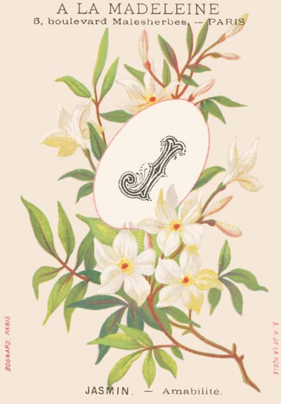 J: jasmin - amabilité - French School