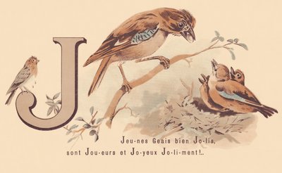 J : Jeunes geais jolis sont joueurs et heureux joliment ! - French School