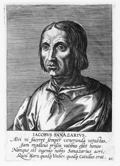 Jacopo Sannazaro (gravure) - French School