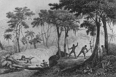 Chasse au jaguar, de 