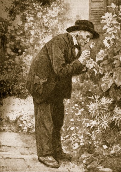 Jean-Henri Fabre observant des insectes - French School