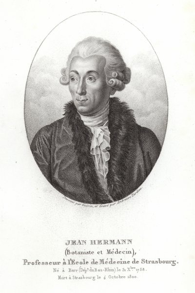 Jean Hermann - French School