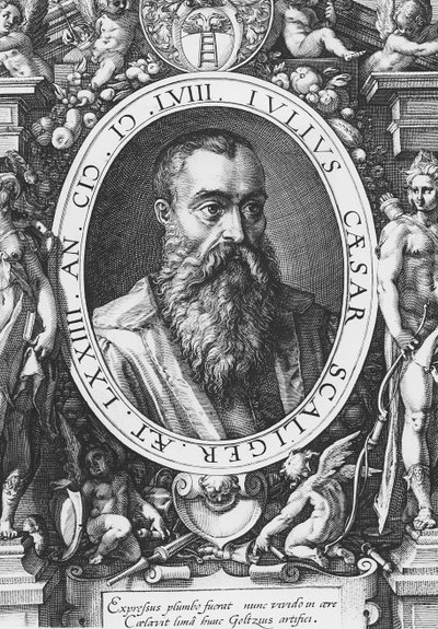 Jules César Scaliger - French School