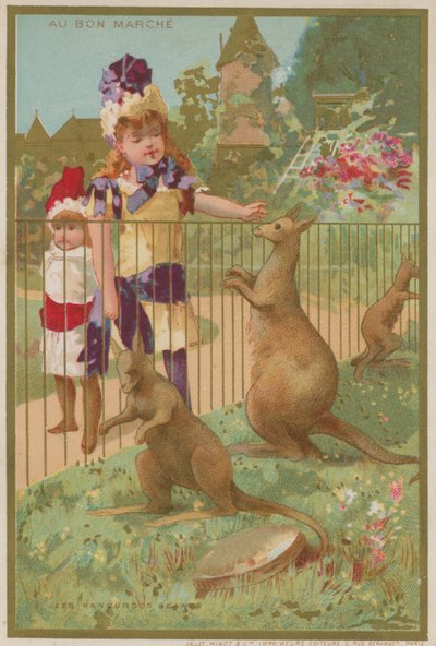 Kangourous au zoo - French School