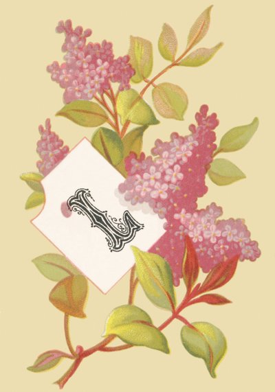 L: lilas - jeunesse - French School