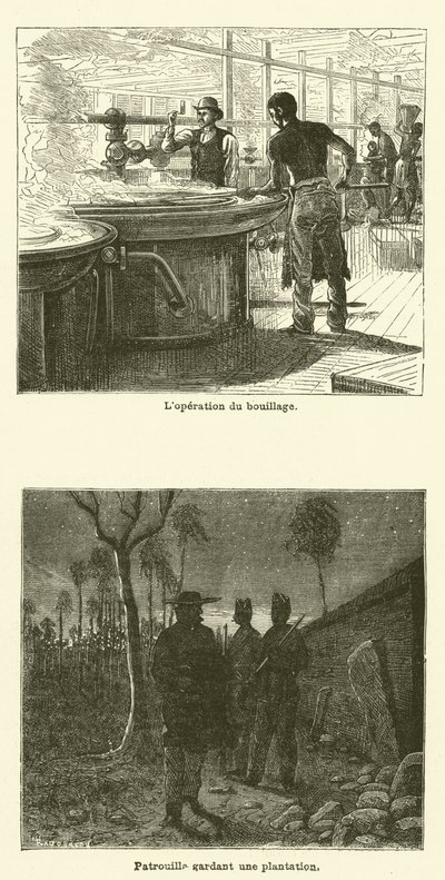 La Canne À Sucre - French School