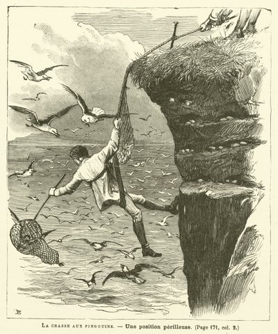 La chasse aux pingouins - French School