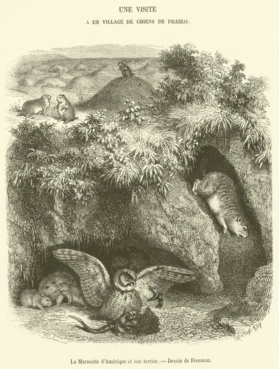La Marmotte d
