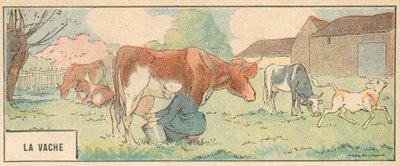La Vache - French School