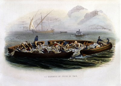 La madrague ou pêche au thon - dans Histoire naturelle de Lacépède - French School