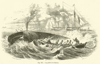 La pêche à la baleine - French School