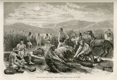 La pêche des sangsues, dessin de Sahib, pour illustrer l