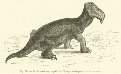Le dicynodonte, reptile de l