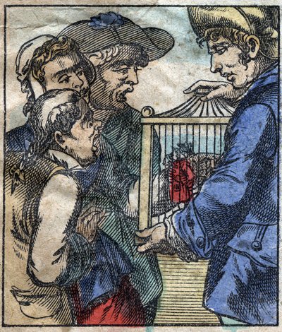 Lemuel Gulliver, dans une cage, est montré aux géants de Brobdingnag. Illustration pour "Les Voyages de Gulliver" de Jonathan Swift (1667-1745). Imagerie d