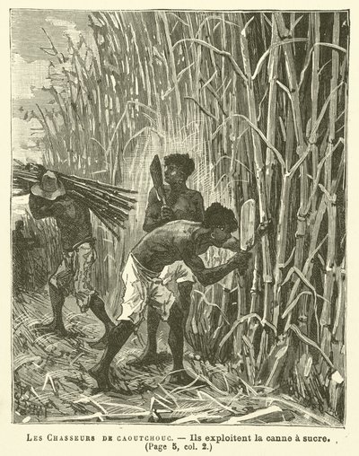 Les chasseurs de caoutchouc - French School
