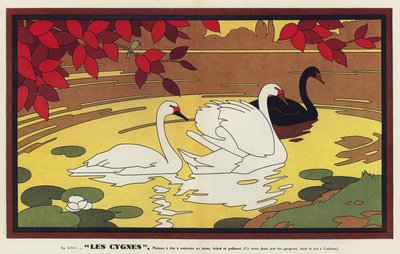 Les Cygnes, Swans (colour litho) - French School