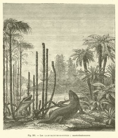 Les labyrinthodontes, mastodontosaures - French School