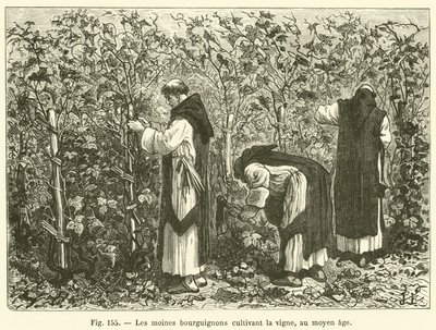 Les moines bourguignons cultivant la vigne, au moyen age - French School