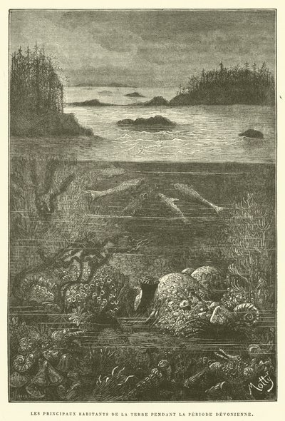 Les principaux habitants de la terre pendant la période dévonienne - French School
