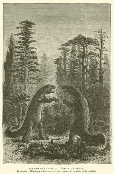 Les rois de la terre à l