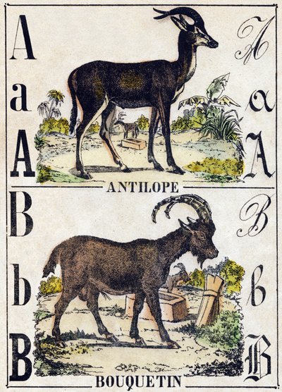 Lettre A Antilope; B Ibex. Gravure dans "Alphabet des animaux sauvages". 9e Série. Imagerie d