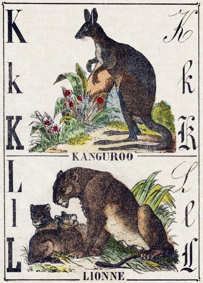 Lettre K L; K Kangourou; L Lionne. Gravure dans "Alphabet des animaux sauvages". 9e Série. Imagerie d