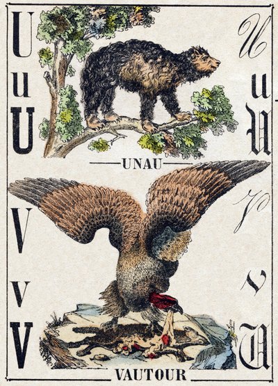 Lettre U Unau (paresseux) ; V Vautour. Gravure dans « Alphabet des animaux sauvages ». 9e Série. Imagerie d