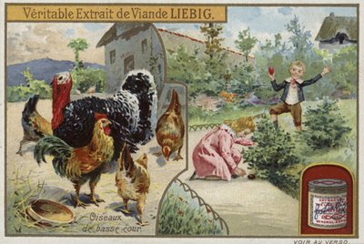 Carte Liebig représentant de la volaille - French School