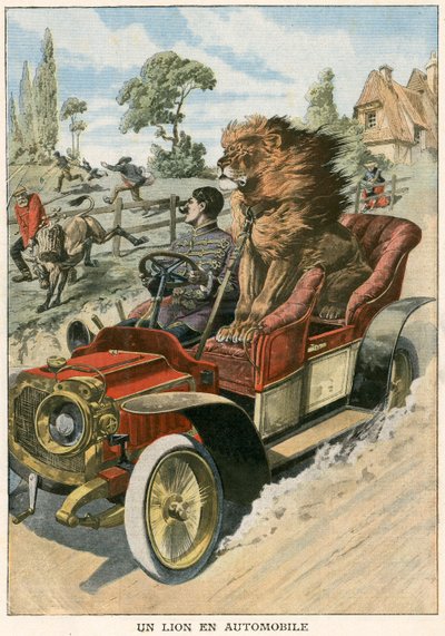 Lion dans une automobile - French School