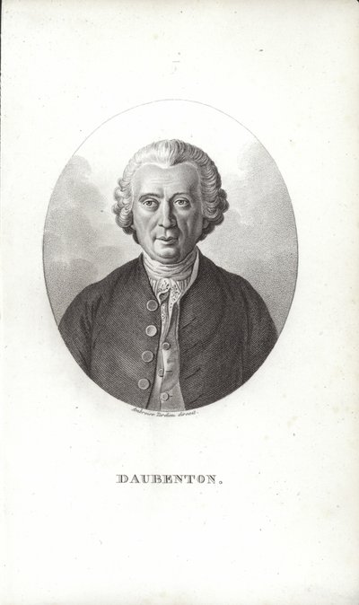 Louis-Jean-Marie Daubenton - French School