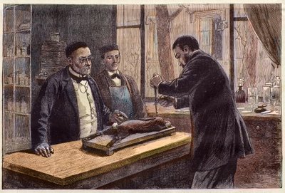 Louis Pasteur (1822-1895), chimiste et microbiologiste français, expérimentant sur un lapin chloroformé lors de sa recherche d