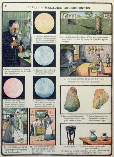 Louis Pasteur (1822-95) et les maladies bactériennes, de Les Sciences Physiques et Naturelles, Paris, 1908 - French School
