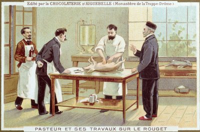 Louis Pasteur travaillant sur l