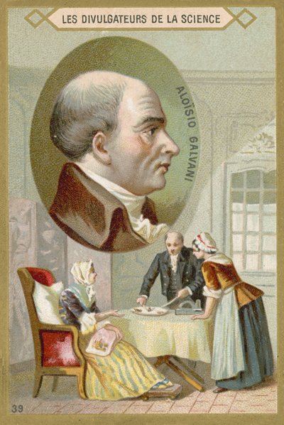 Luigi Galvani, médecin et physicien italien - French School