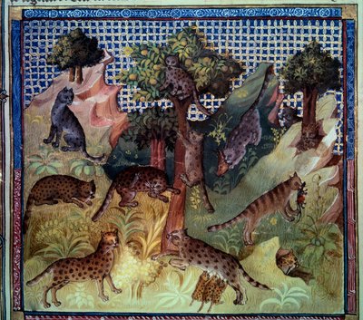 Lynx sauvages dans les montagnes. Miniature du « Livre de la chasse » de Gaston III Phoebus, Comte de Foix, Seigneur de Béarn (1331-1391) - French School