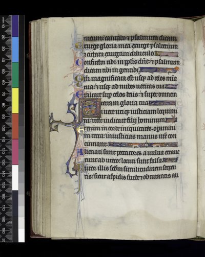 MS 300 f.61v, folio du Psautier et Heures d