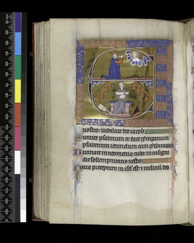 MS 300 f.89v, David prie Dieu - French School