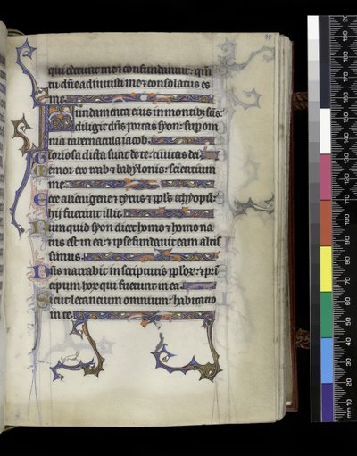 MS 300 f.95r, folio du Psautier et Heures d