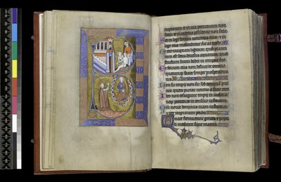 MS 300 f.XIII-1r, du Psautier et Heures d