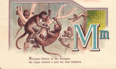 M : Macaques feuillets dans leur ménagerie, ces singes montrent leur vraie matoiserie - French School