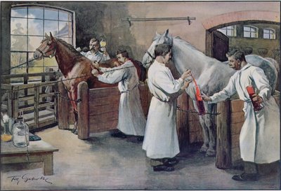 Fabrication de sérum antidiphtérique à partir de sang de cheval, tiré de Les Animaux, vers 1900 - French School