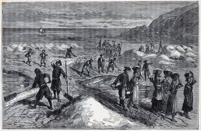 Marais salants de Bretagne au XIXe siècle - Gravure dans "Les sciences mises à la portée de tous - physique et chimie populaires" par Alexis Clerc - Fin du XIXe siècle - Collection privée - French School
