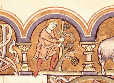 Mars : Greffage des arbres, du Psautier de Sainte Élisabeth - French School