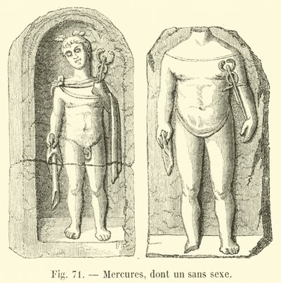 Mercures, dont un sans sexe - French School
