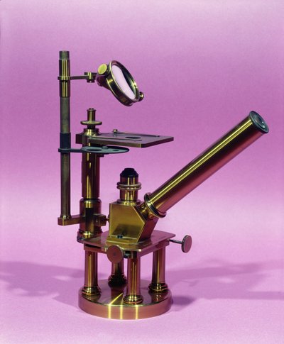 Microscope appartenant à Louis Pasteur (métal) - French School