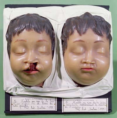 Modèle montrant le visage d