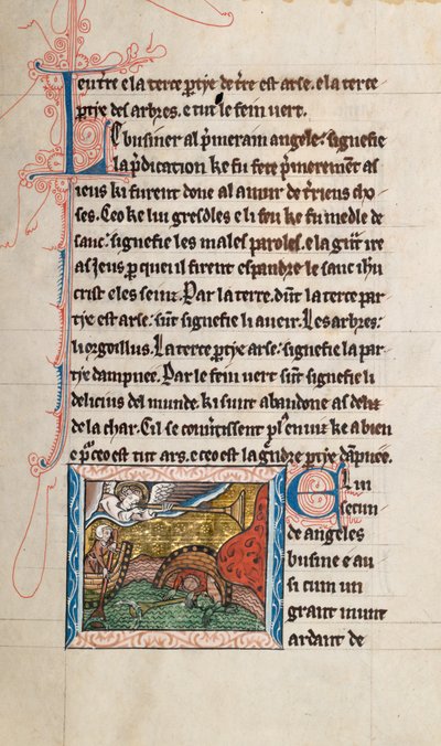 Ms65 f28r, Commentaire sur l