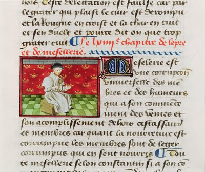 Ms.Fr.22532 Fol.118 Lépreux, de Le Livre des Propriétés des Choses par Barthélemy l