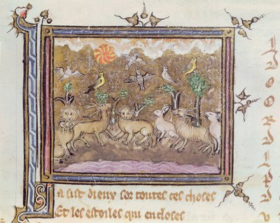 La Création des Animaux, d