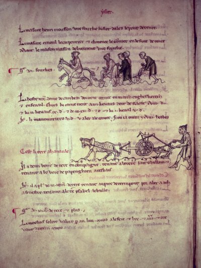 Ms 1175 f.156v Travaux, du Vieil Rentier d